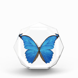 Blue Morpho Butterfly Acrylic Award