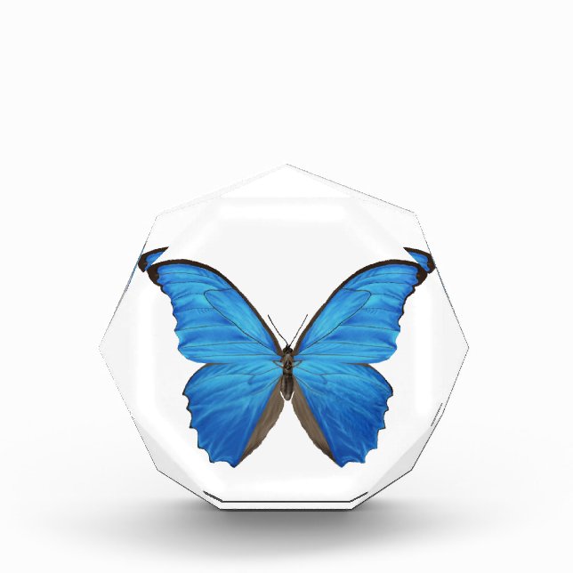 Blue Morpho Butterfly Acrylic Award (Front)