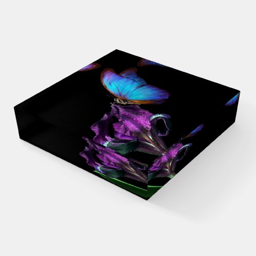 Blue Morpho Butterfly and Iris Paperweight