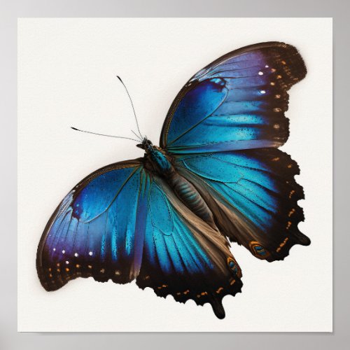 Blue Morpho Butterfly Art Print Poster