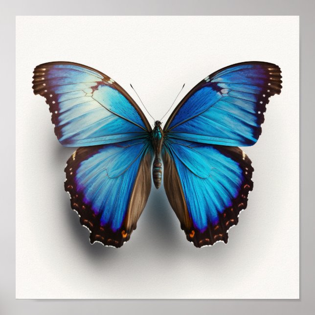 Blue Morpho Butterfly Art Print Poster (Front)