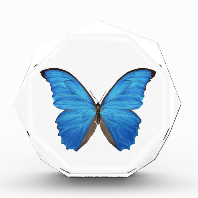 Blue Morpho Butterfly Award (Front)