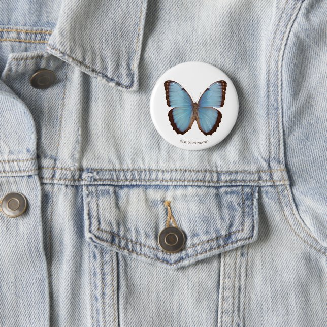Blue Morpho Butterfly Button (In Situ)