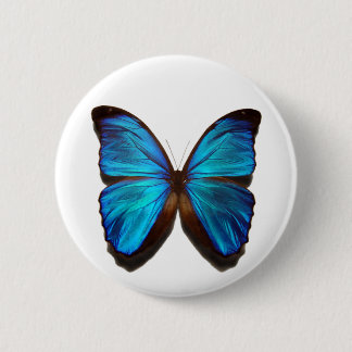Blue Morpho Butterfly Button