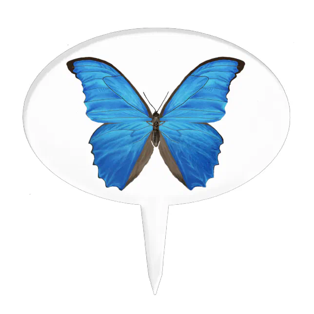 Blue Morpho Butterfly Sticker