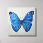 Blue Morpho Butterfly Canvas Print at Zazzle