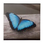 Blue Morpho Butterfly Ceramic Tile