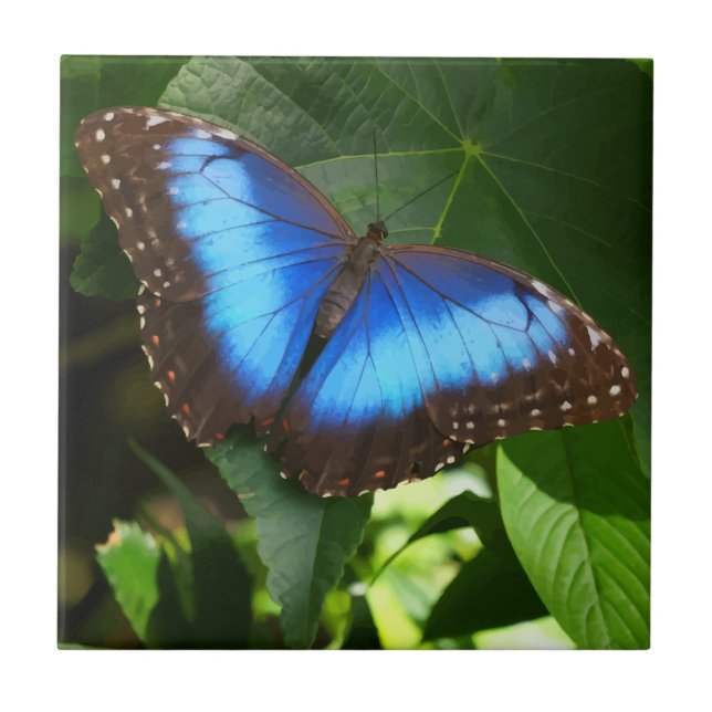 Blue Morpho Butterfly Ceramic Tile (Front)