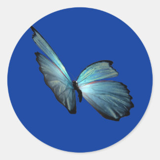 Blue Morpho Butterfly Classic Round Sticker