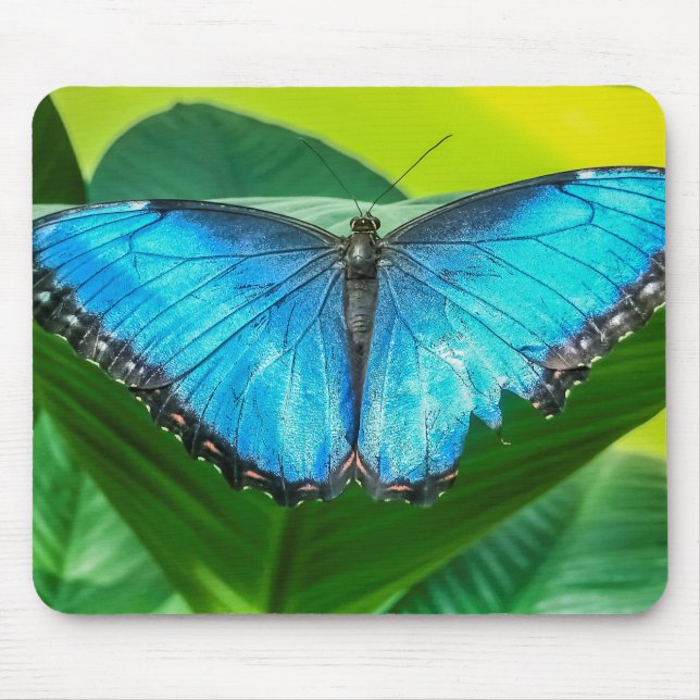 Blue Morpho Butterfly Floral Nature Art Mouse Pad (Front)