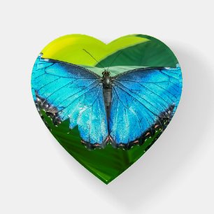 Blue Morpho Butterfly Floral Nature Art Paperweight