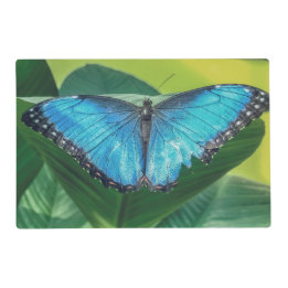Blue Morpho Butterfly Floral Nature Art Placemat