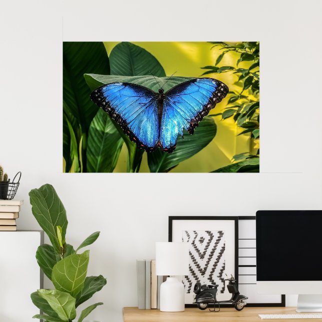 Blue Morpho Butterfly Floral Nature Art Poster (Home Office)