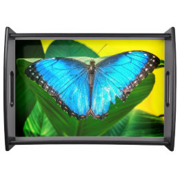 Blue Morpho Butterfly Floral Nature Art Serving Tray