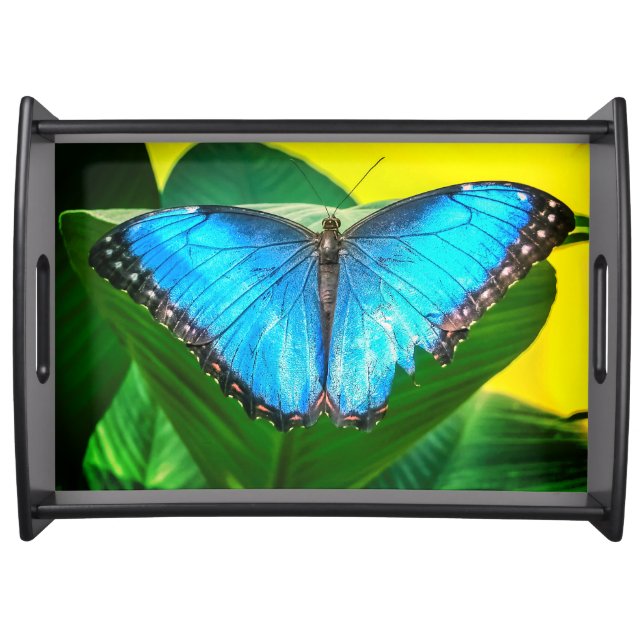 Blue Morpho Butterfly Floral Nature Art Serving Tray (Front)