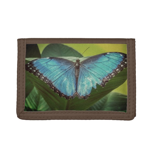Blue Morpho Butterfly Floral Nature Art Trifold Wallet (Front)