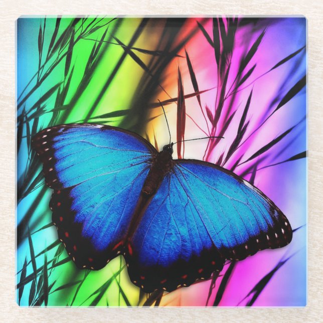 Blue Morpho Butterfly Glass Coaster (Front)