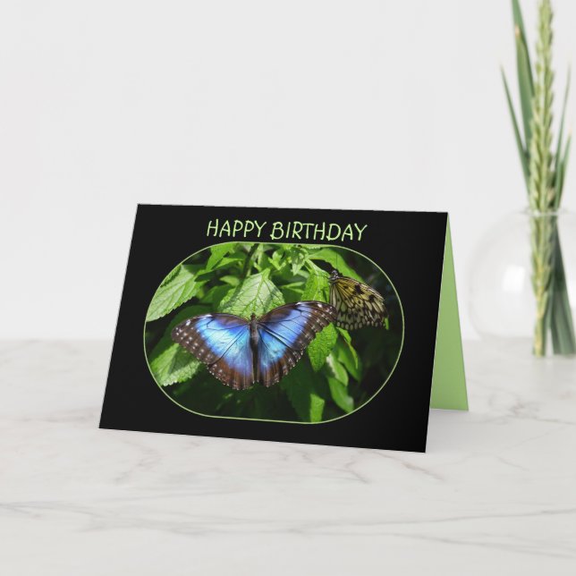Blue Morpho Butterfly Happy Birthday Card (Front)