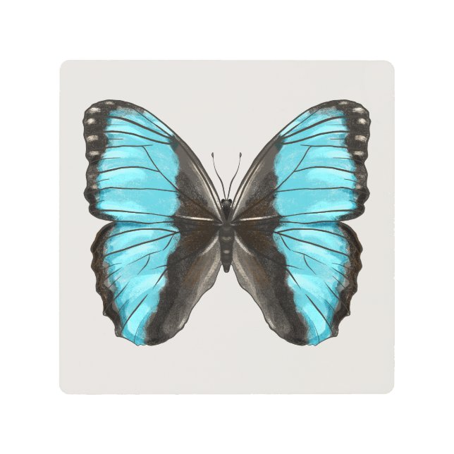 Blue Morpho Butterfly Insect Art Nature Lover (Front)