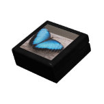 Blue Morpho Butterfly Keepsake Box