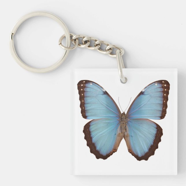 Blue Morpho Butterfly Keychain (Front)