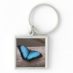 Blue Morpho Butterfly Keychain