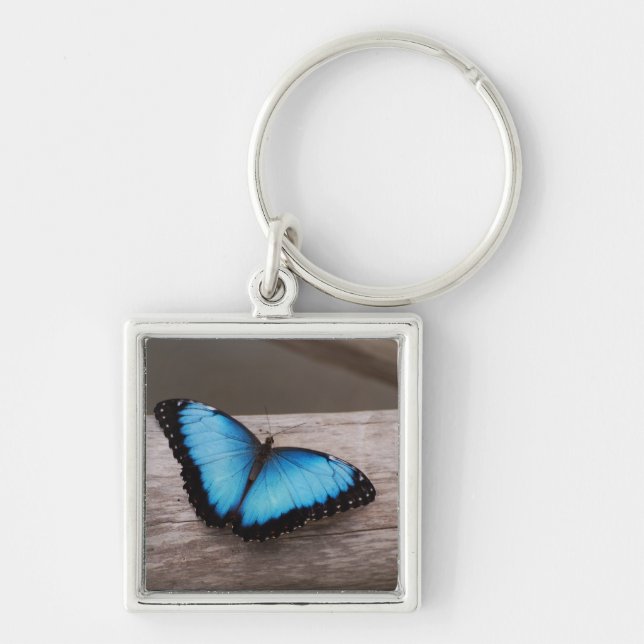 Blue Morpho Butterfly Keychain (Front)
