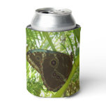 Blue Morpho Butterfly Nature Photography Can Cooler