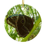Blue Morpho Butterfly Nature Photography Ceramic Ornament