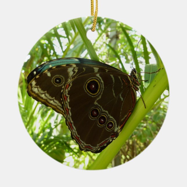 Blue Morpho Butterfly Nature Photography Ceramic Ornament (Front)
