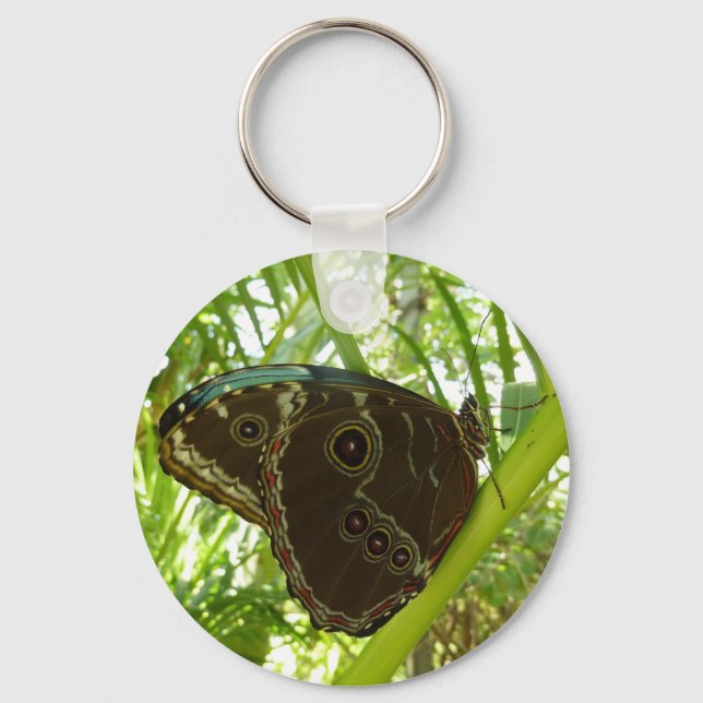 Blue Morpho Butterfly Nature Photography Keychain (Front)