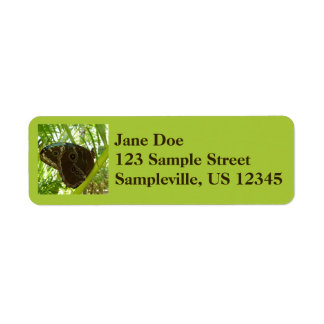 Blue Morpho Butterfly Nature Photography Label