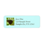 Blue Morpho Butterfly Nature Photography Label