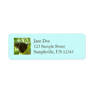 Blue Morpho Butterfly Nature Photography Label