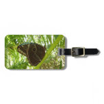 Blue Morpho Butterfly Nature Photography Luggage Tag