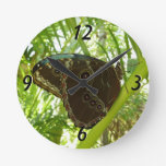 Blue Morpho Butterfly Nature Photography Round Clock