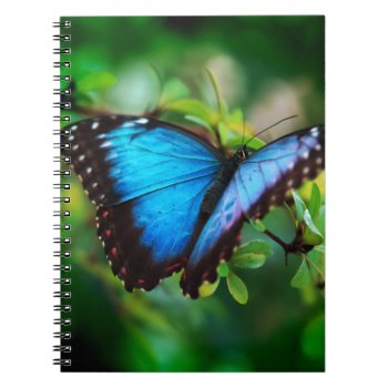Blue Morpho Butterfly Notebook by TheWorldOutside at Zazzle