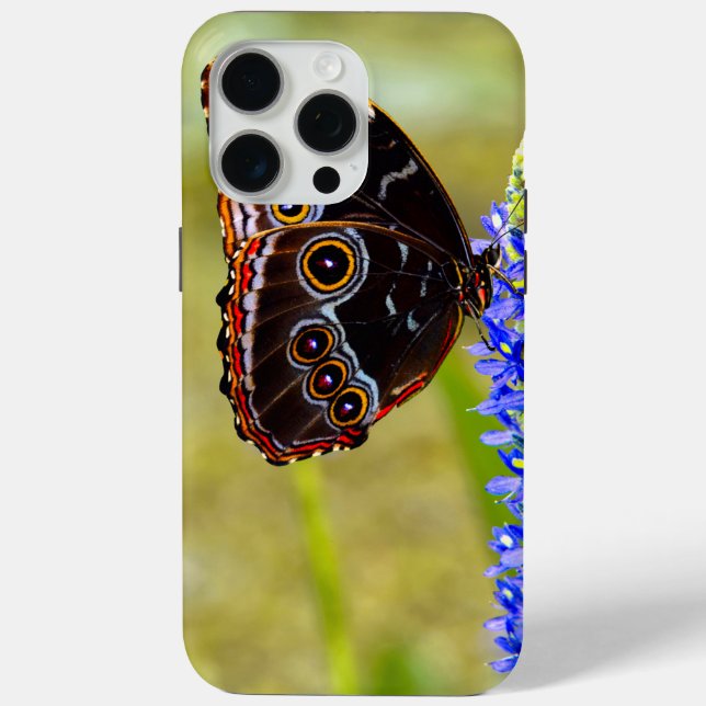 Blue morpho butterfly on a marsh orchid Case-Mate iPhone case (Back)