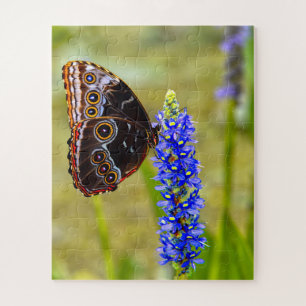 Blue morpho butterfly on a marsh orchid jigsaw puzzle