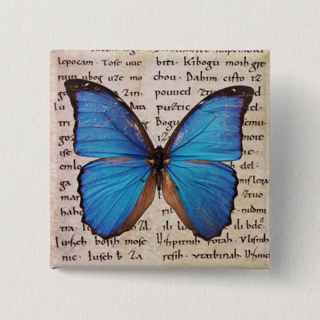 Blue Morpho Butterfly on Book Page Pinback Button (Front)