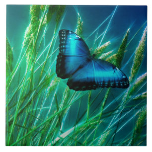Blue Morpho Butterfly on Green Grass Ceramic Tile
