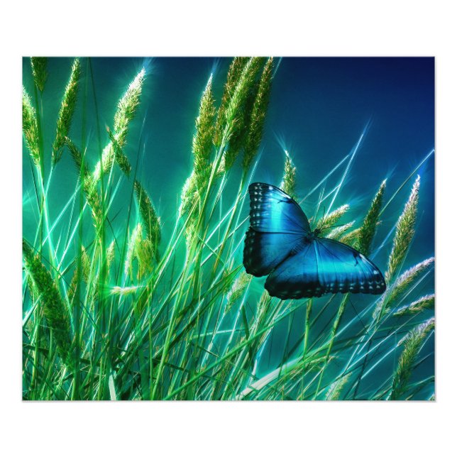 Blue Morpho Butterfly on Green Grass Photo Print (Front)
