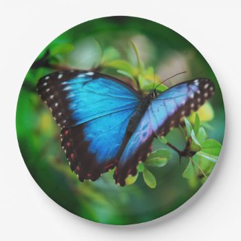 Blue Morpho Butterfly Paper Plates by TheWorldOutside at Zazzle