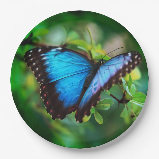 Blue Morpho Butterfly Paper Plates (Front)