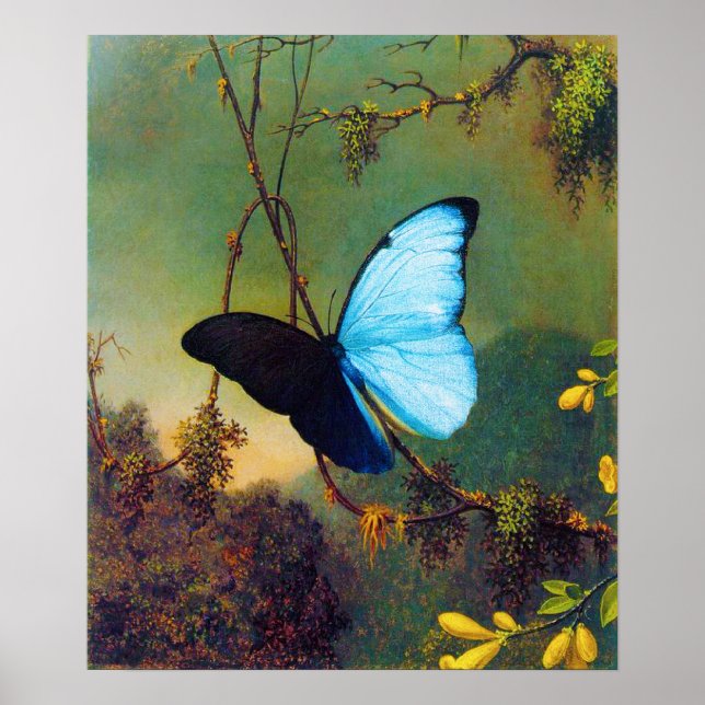 Blue Morpho Butterfly Poster (Front)
