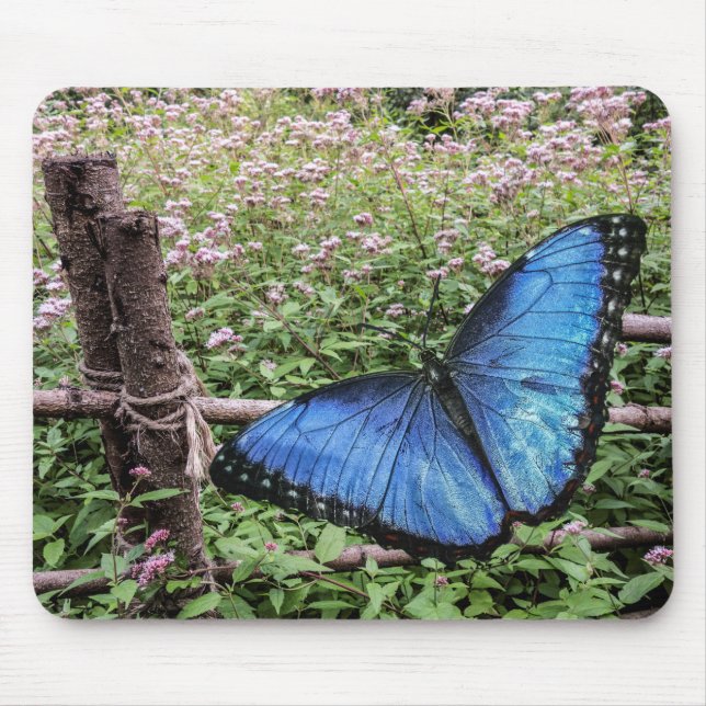 Blue Morpho Butterfly Rustic Design Mouse Pad (Front)
