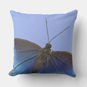 Blue Morpho Butterfly Throw Pillow