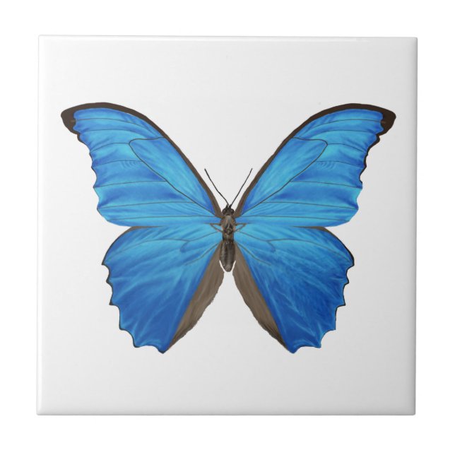 Blue Morpho Butterfly Tile (Front)