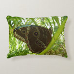 Blue Morpho Butterfly Tropical Nature Photography Decorative Pillow