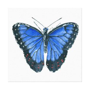 Blue Morpho butterfly watercolor painting Canvas Print
